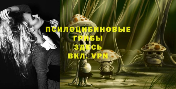 мдма Богданович