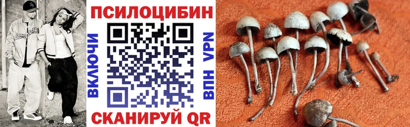 MEGA зеркало Эртиль Галлюциногенные грибы мухоморы